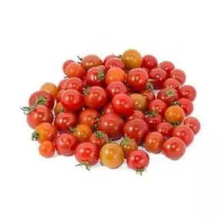 Tomate Perla
