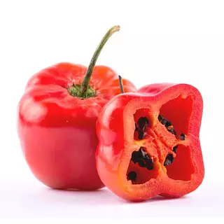 Chile Rocoto