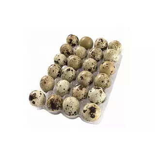 Huevos De Codornis