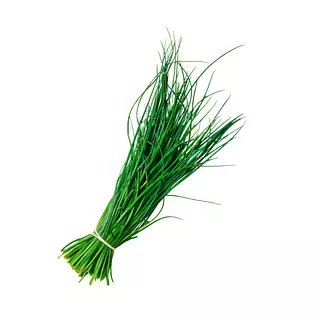 Cebollin Cebollina