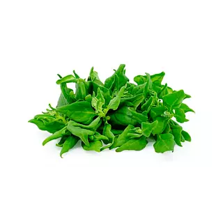 Espinaca Criolla