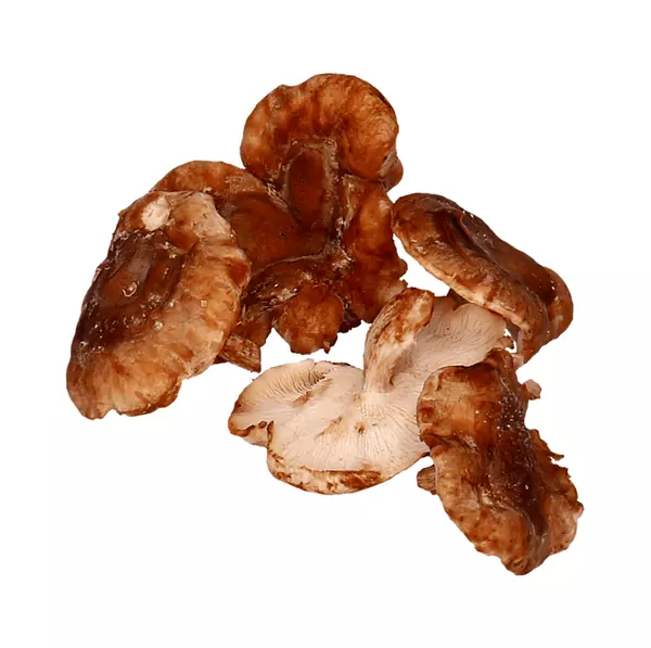Shitake