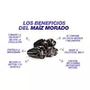 Mazorca Peruana Morada