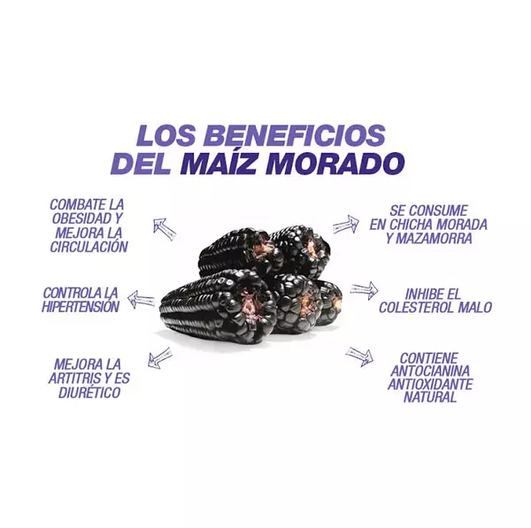 Mazorca Peruana Morada