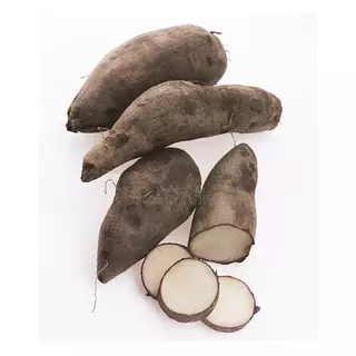Yacon