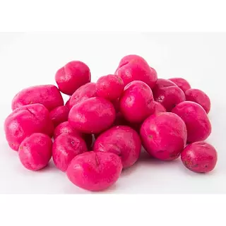 Ollucos Chuguas