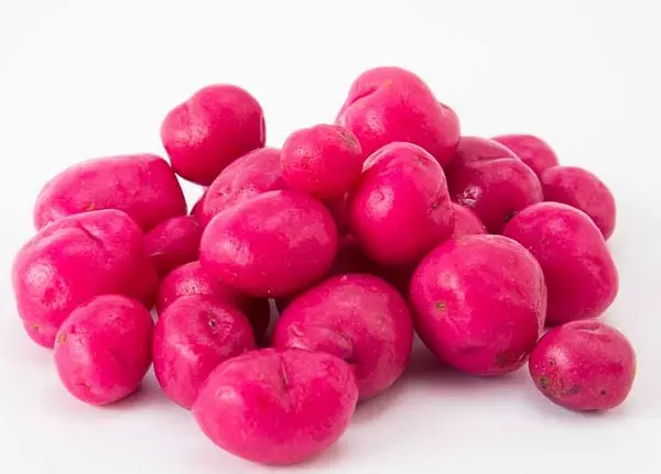 Ollucos Chuguas