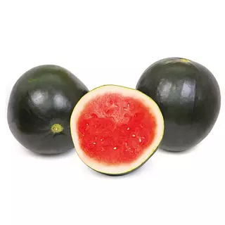Sandia Vanessa