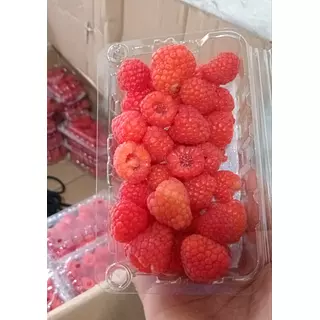 Frambuesa