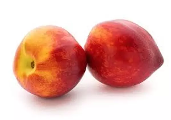 Nectarina