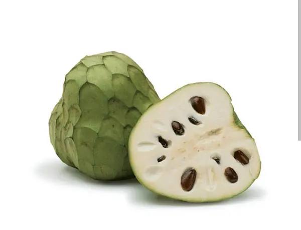 Chirimoya