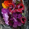 Flores Comestibles