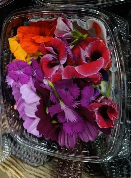 Flores Comestibles