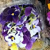 Flores Comestibles