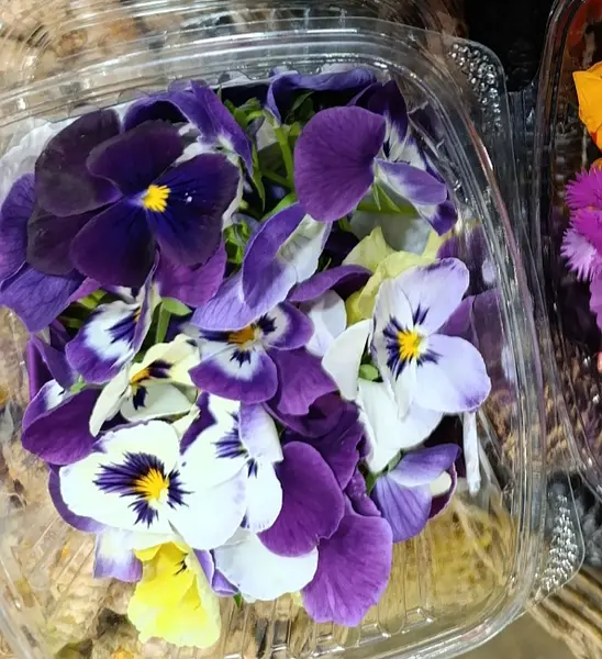 Flores Comestibles