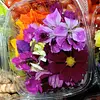 Flores Comestibles